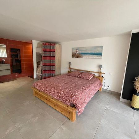 Studio 40M2 Avec Terrasse Le Mas De Lauriane سانت ماري دو لا مير المظهر الخارجي الصورة